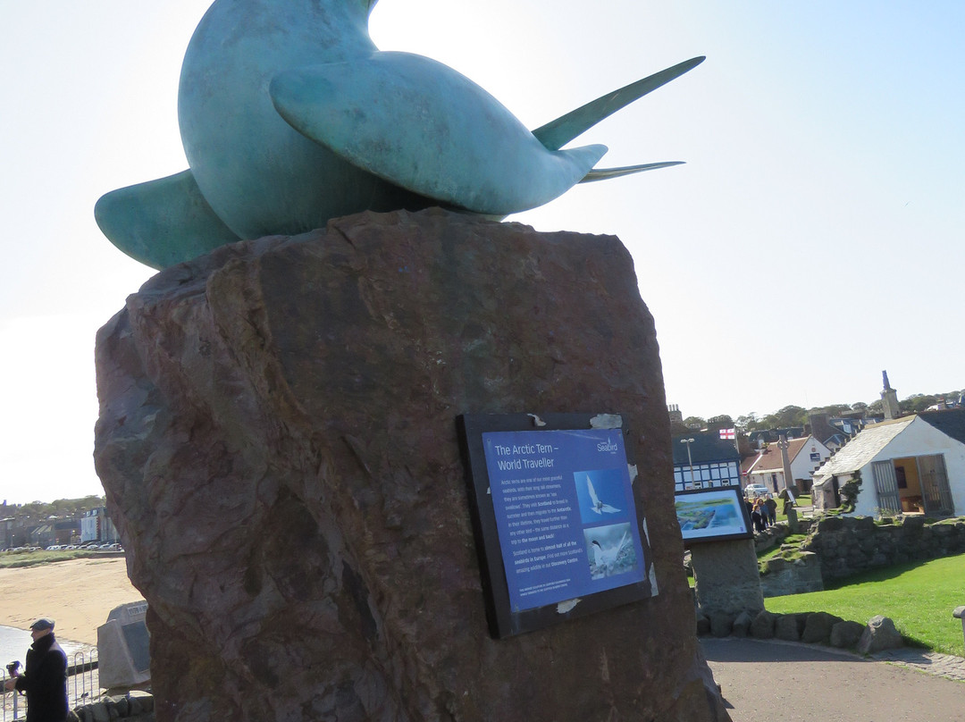 Arctic Tern Statue-北柏威克必去景点