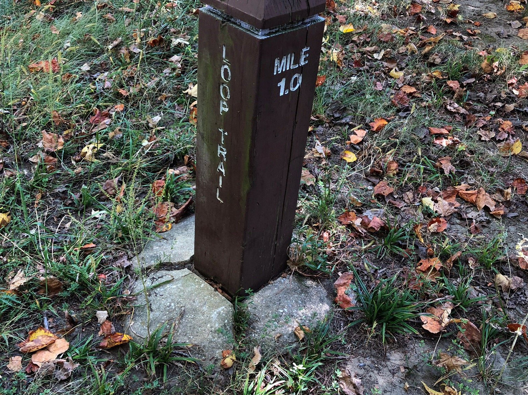 Watkins Regional Park景点图片