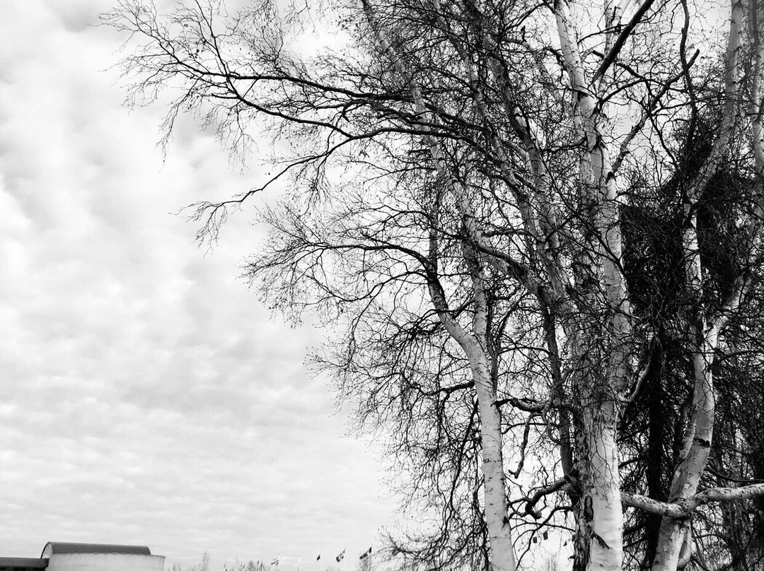 Frame Lake Trail-黄刀镇必去景点