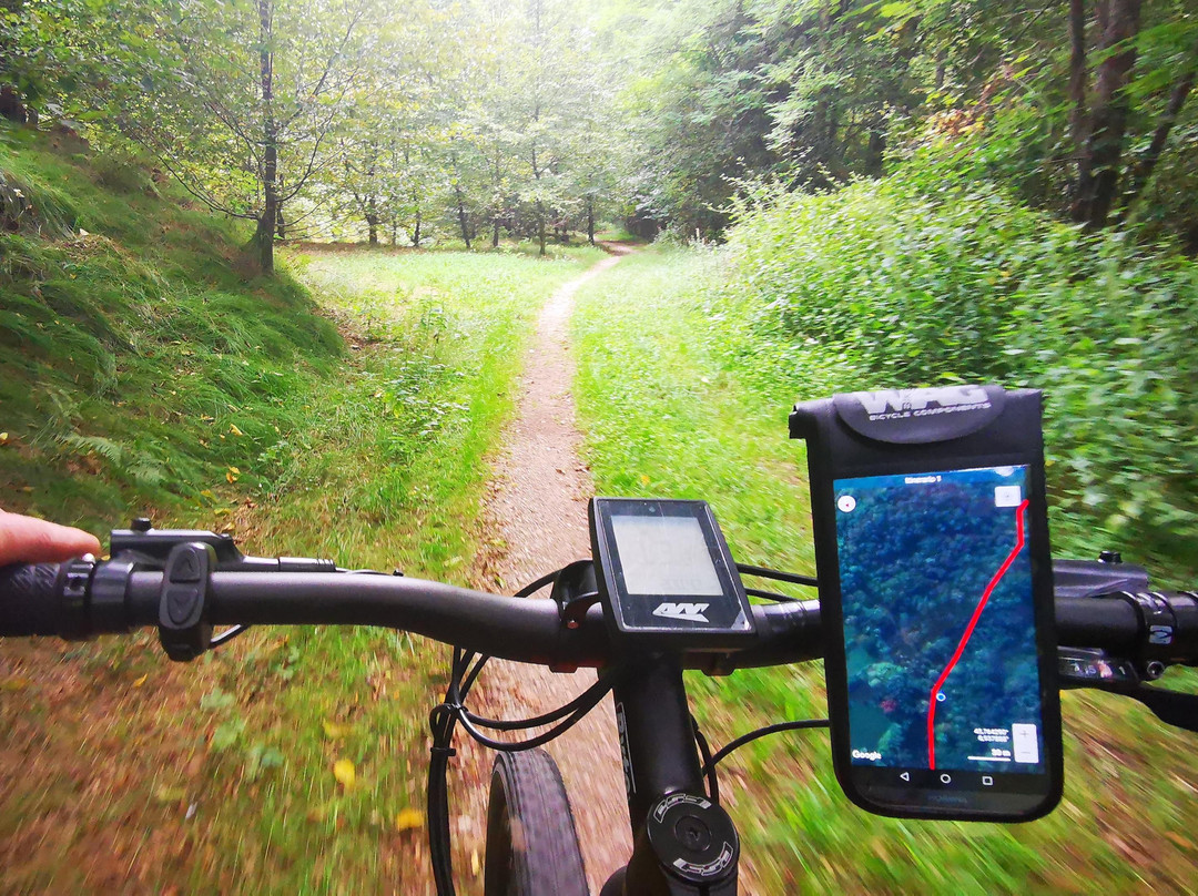 Pineta Bike景点图片