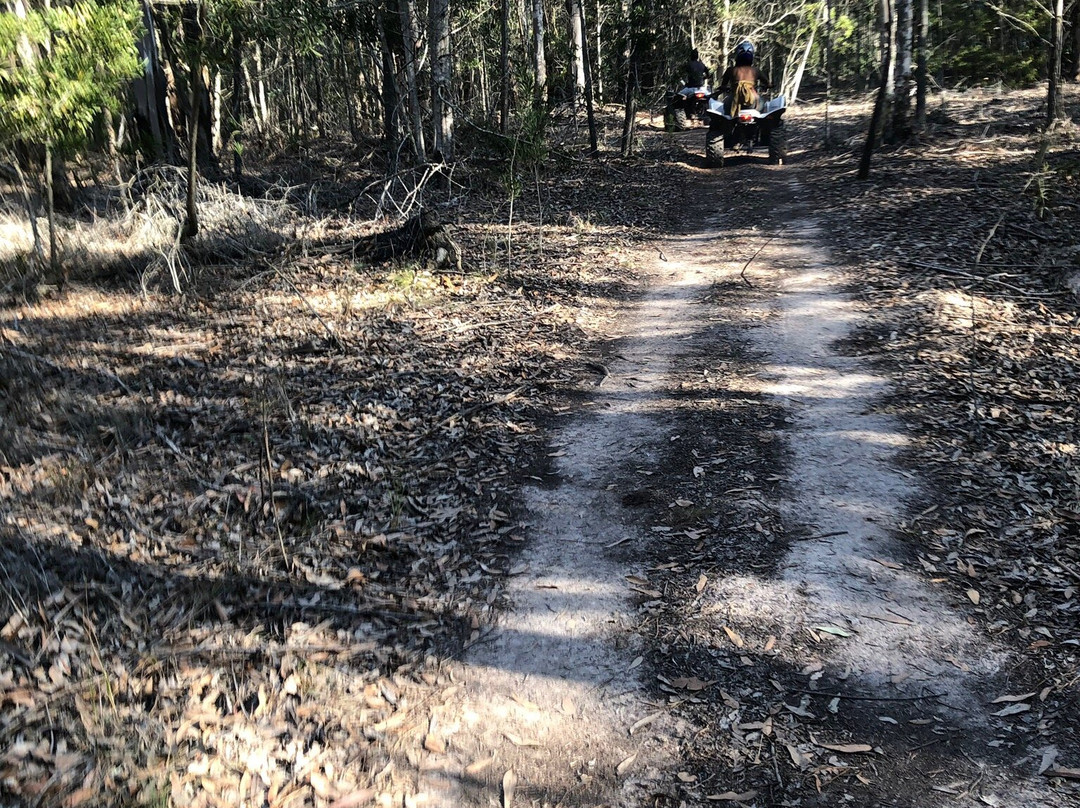 WildX Adventures - Garden Route-荒野必去景点