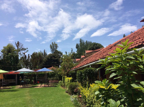 Ayurveda Yoga Retreat主图