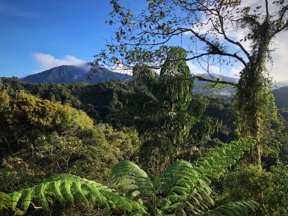 草莓园度假酒店主图