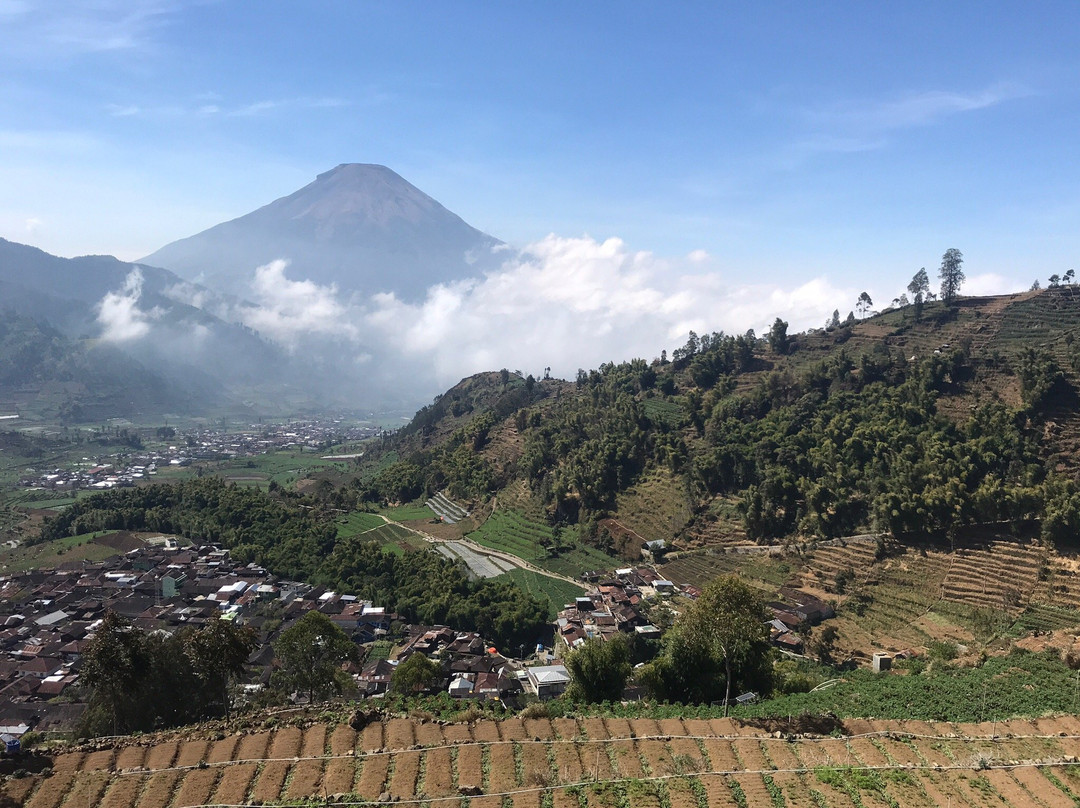 Dieng Viewpoint景点图片