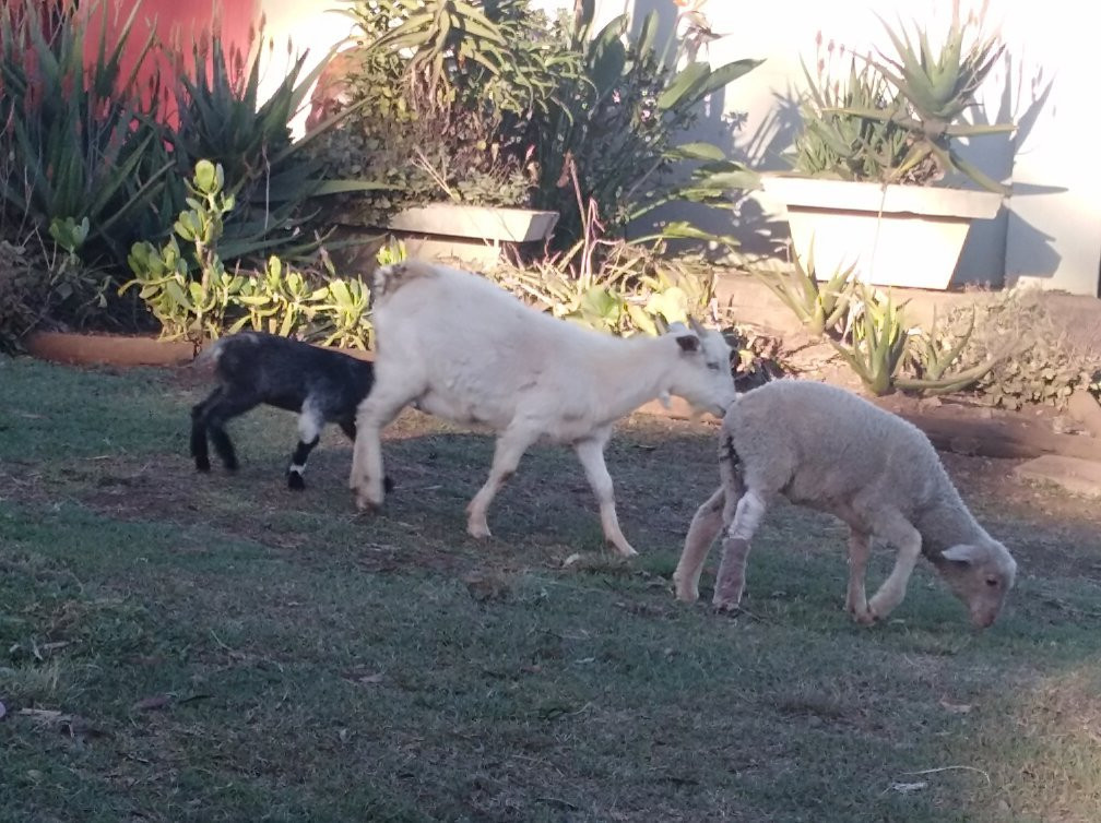 Dunning Country House主图