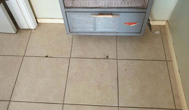 驿马66号汽车旅馆主图