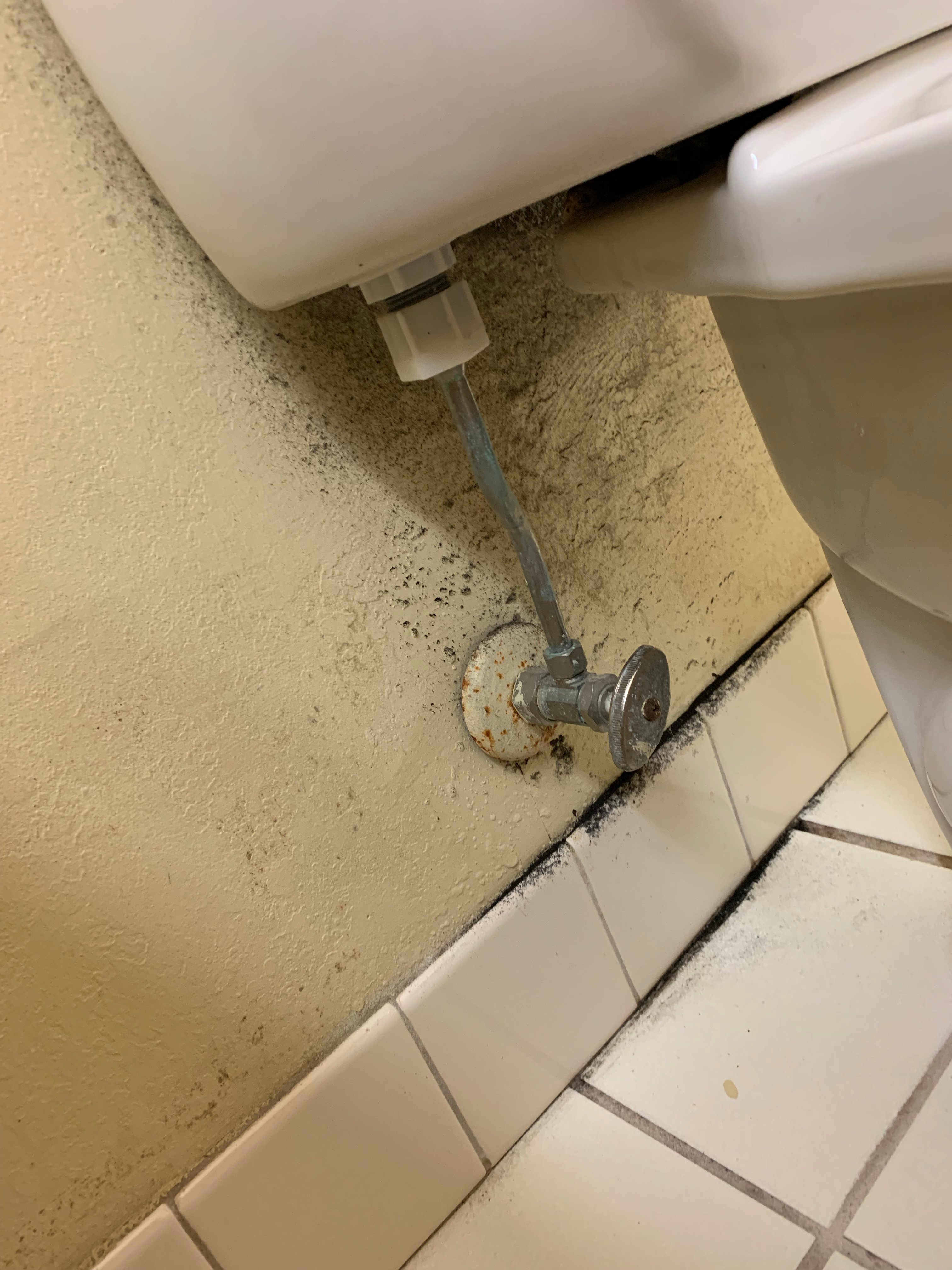 Travelodge by Wyndham Matteson-浴室