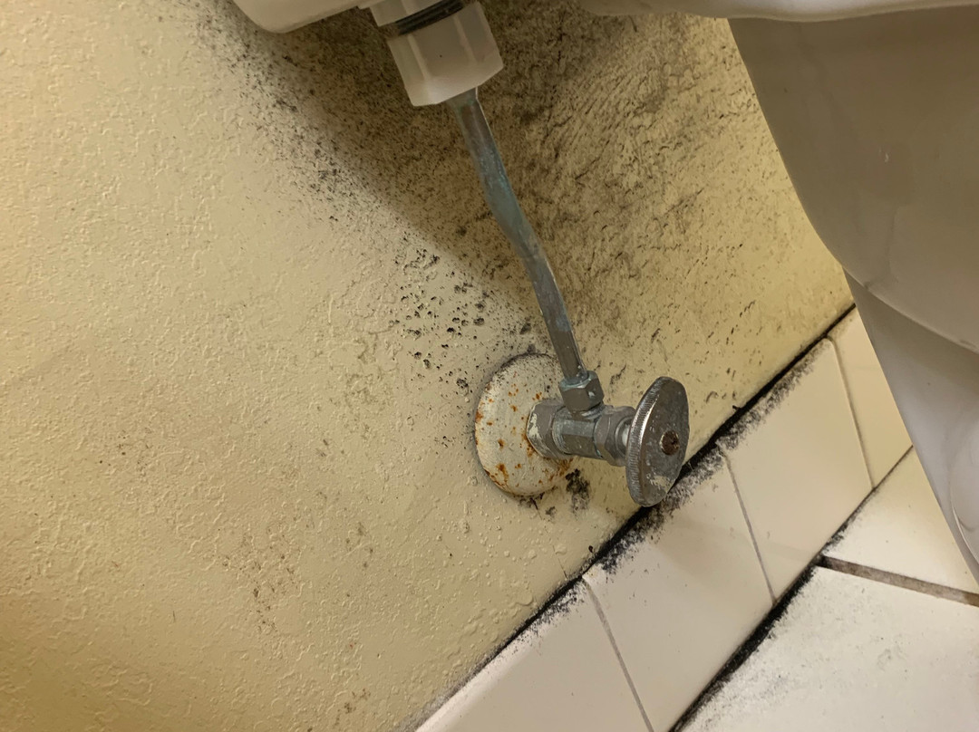 Travelodge by Wyndham Matteson主图