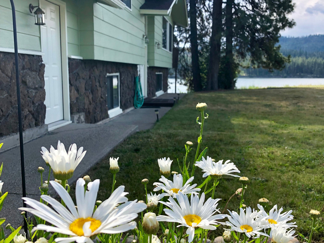 Riverwood at Lake Roosevelt主图