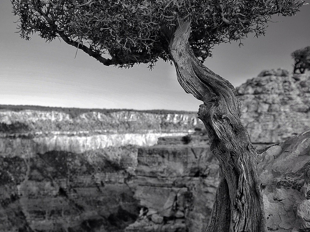 Cape Royal Trail-大峡谷国家公园必去景点