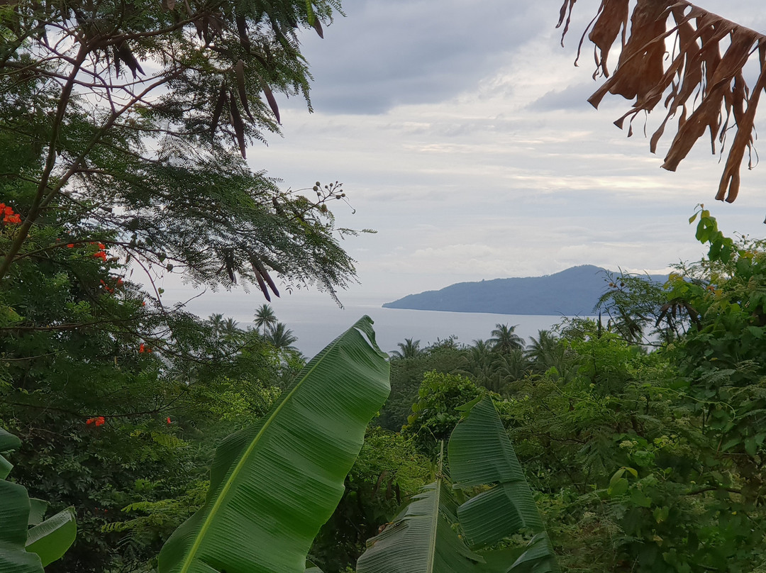 Rabaul Scenic Tours景点图片