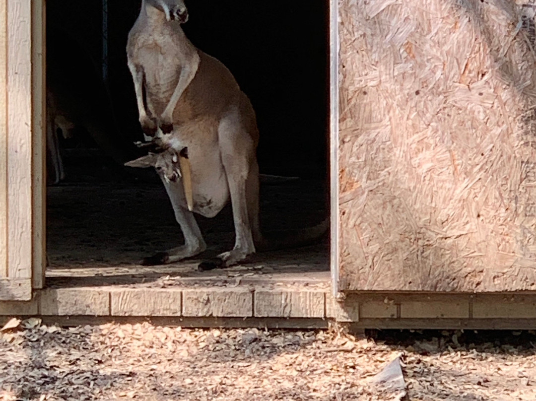 Idle-Hour Ranch-Troy必去景点