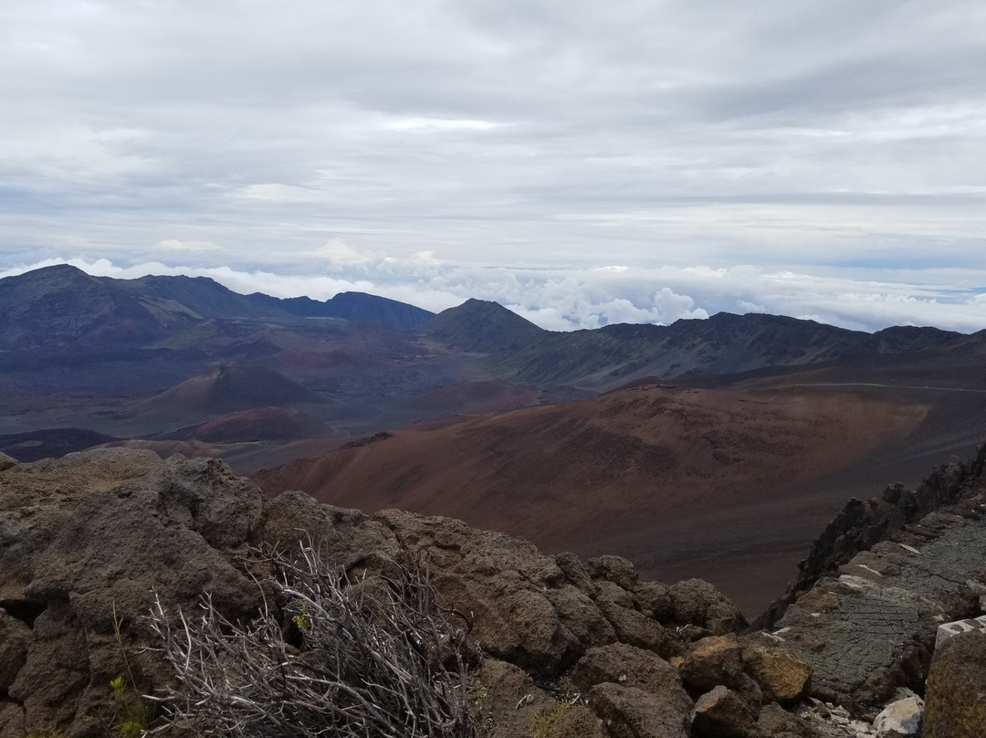 哈雷阿卡拉火山口景点图片