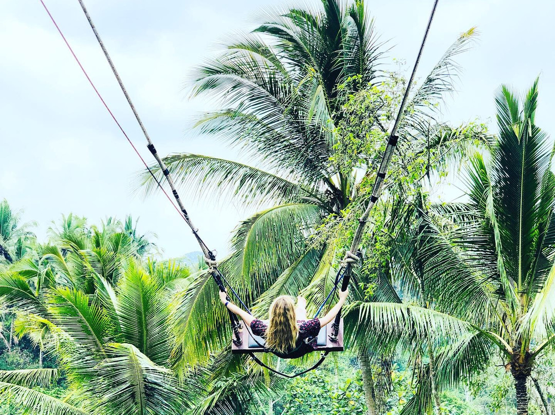 Bali Private Car Charter-库塔必去景点