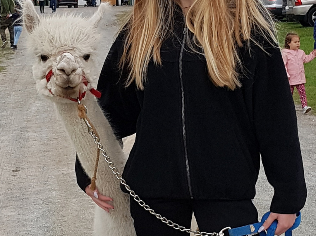 Verger Champetre - Gite & Compagnie-Granby必去景点