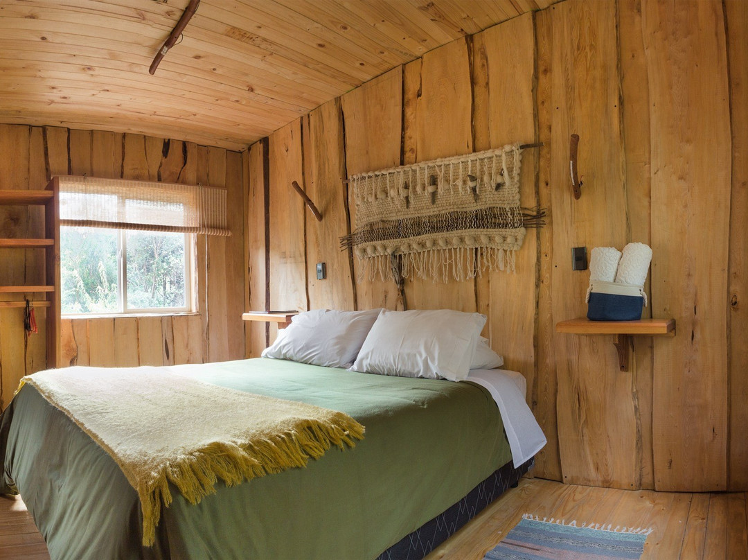 Cabanas Ensenada Bosque Nativo主图