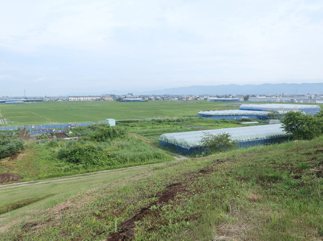 Inarimori Burial Mound-南阳市必去景点