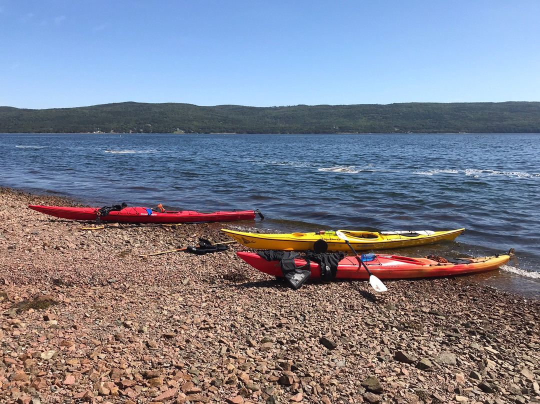 North River Kayak景点图片