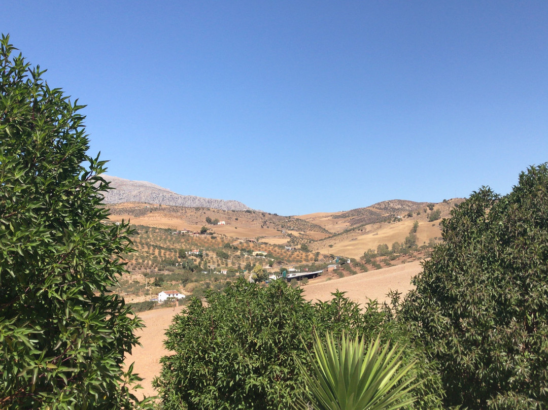 Casa Las Olivas主图