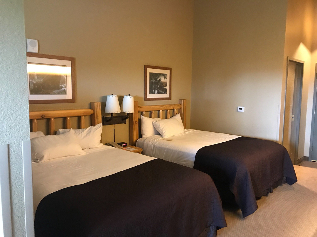 Great Wolf Lodge Water Park景点图片