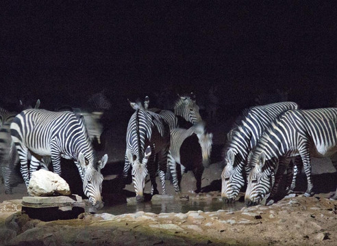 Sossus On Foot Desert Tours-苏丝斯黎必去景点