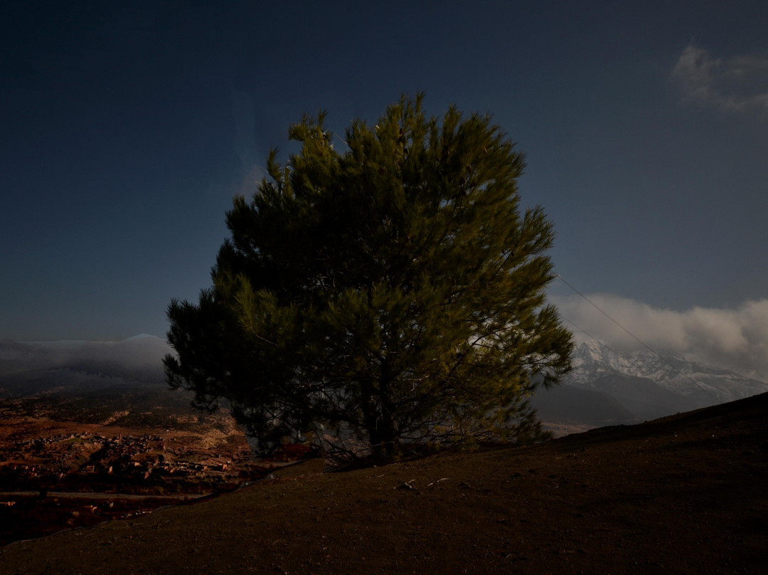 Tour With Iliass-Asni必去景点