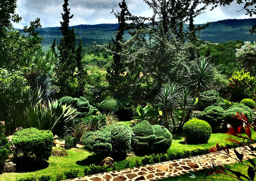 Atemajac de Brizuela旅游攻略图片