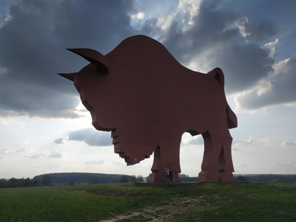 Bison on Route Brest - Minsk-布雷斯特必去景点