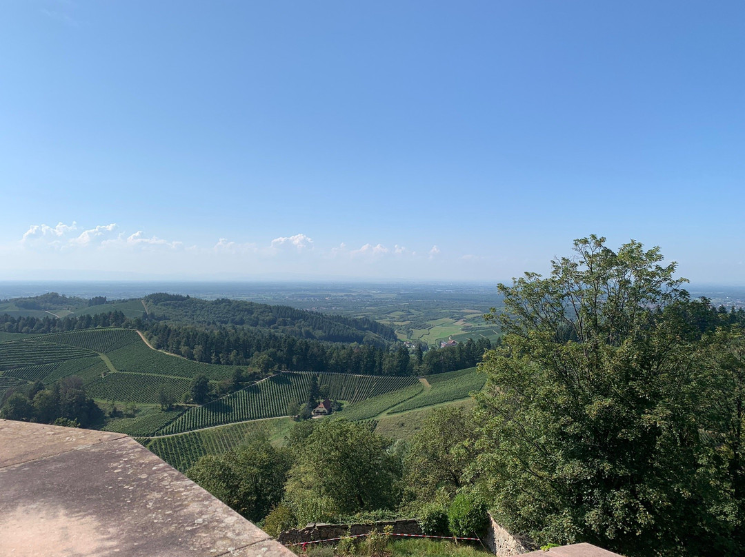 Castle Staufenberg景点图片