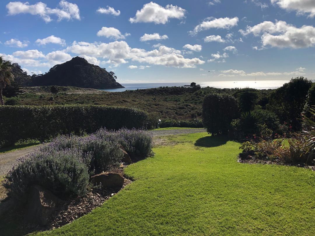 Medlands Beach Lodge主图