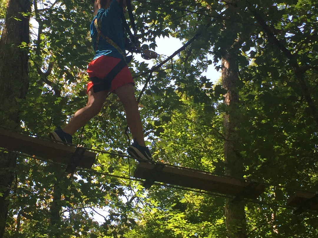 Tree Top Adventures-London必去景点