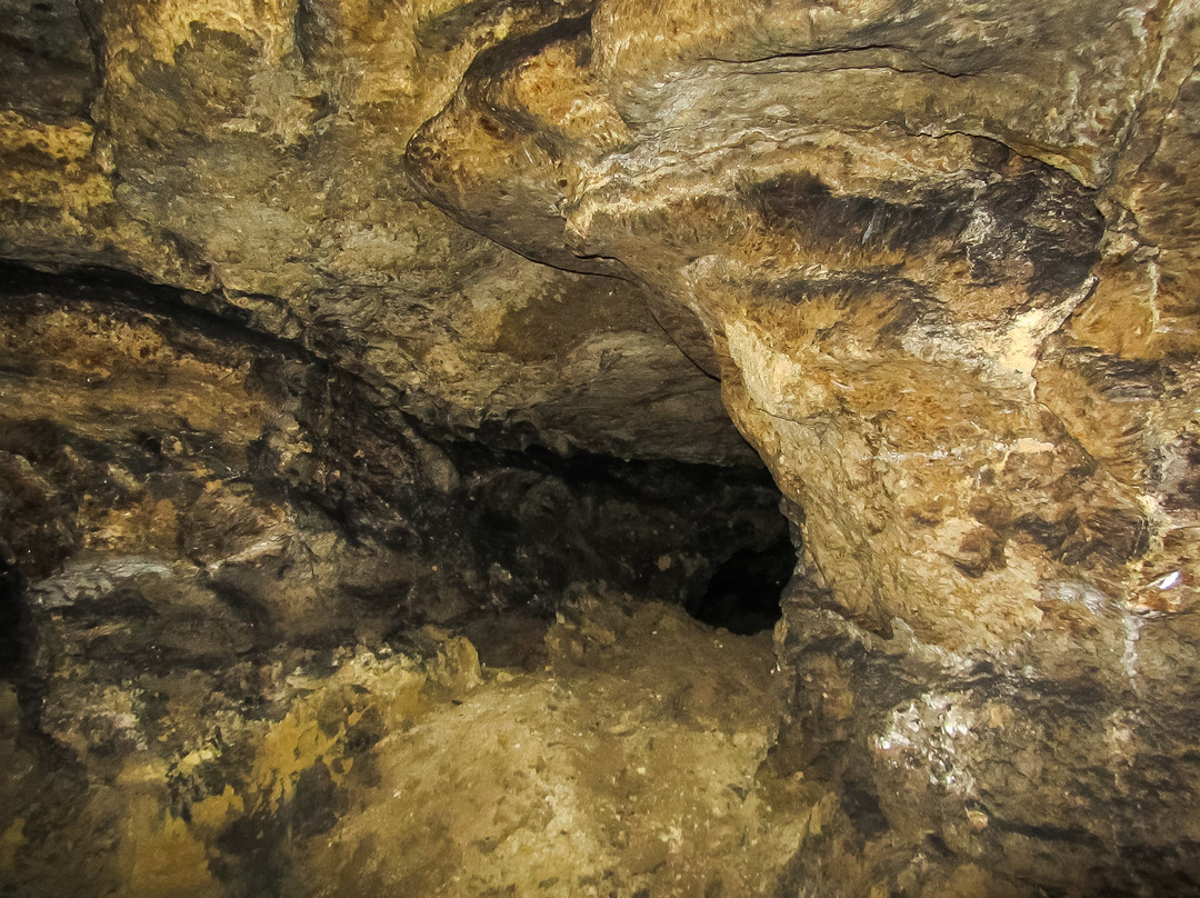 Cave Verteba-Borschiv必去景点