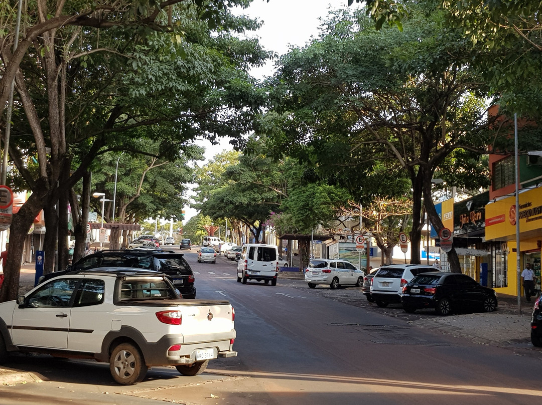 Avenida Jorge Schimmelpfeng景点图片