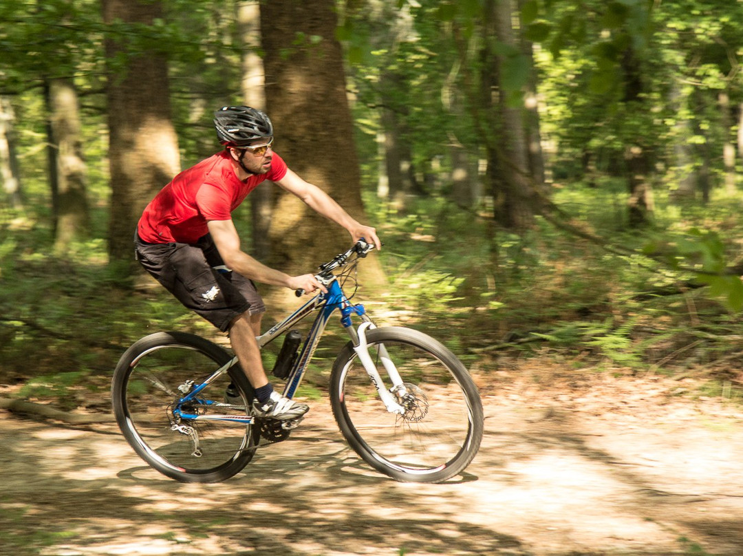VeluweScooter | Veluwe Actief景点图片
