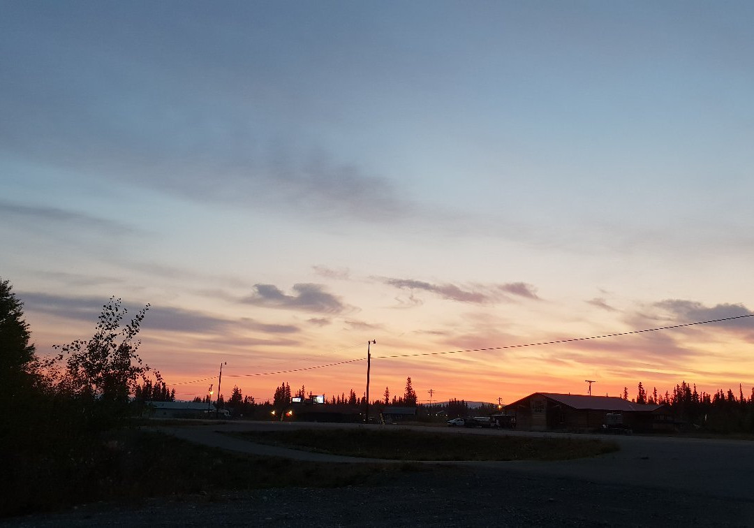 The Golden Bear主图