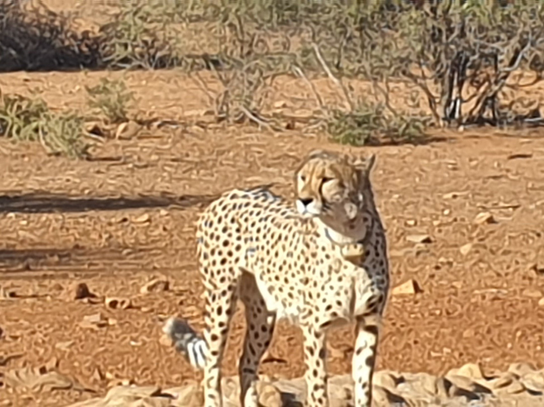 Namvic Tours & Safaris-温德和克必去景点