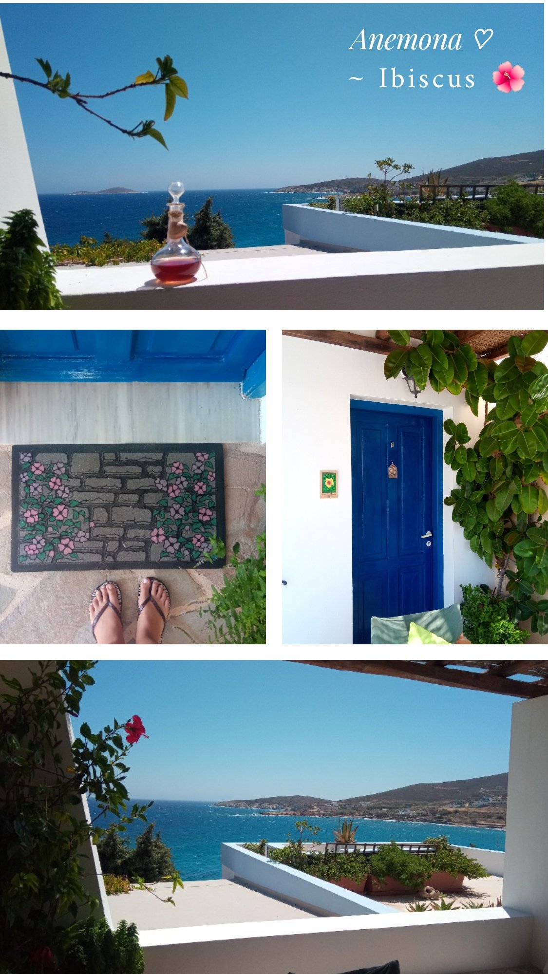 Anemona Villas-官方