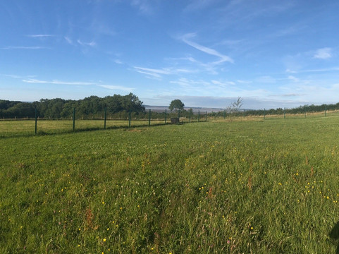 Un-Leashed Dog Exercise Area
