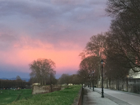 LIS Lucca Italian School - Day Class-卢卡必去景点