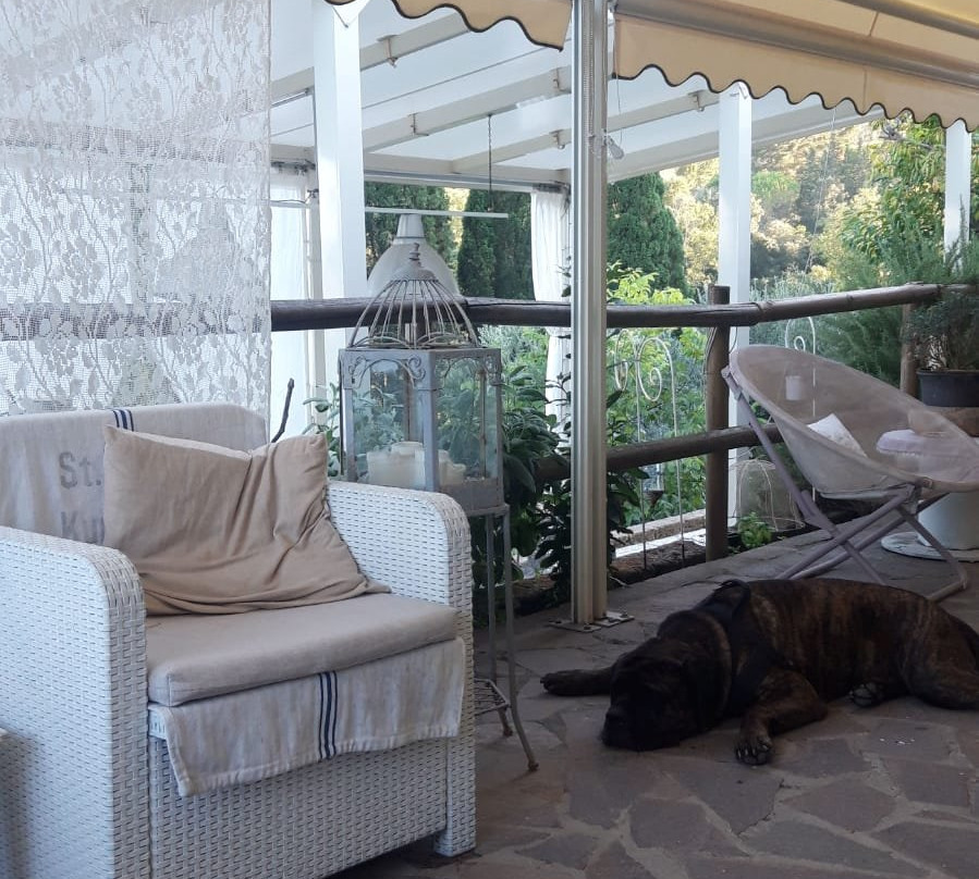 Bed & Breakfast La Casina di Parrana主图