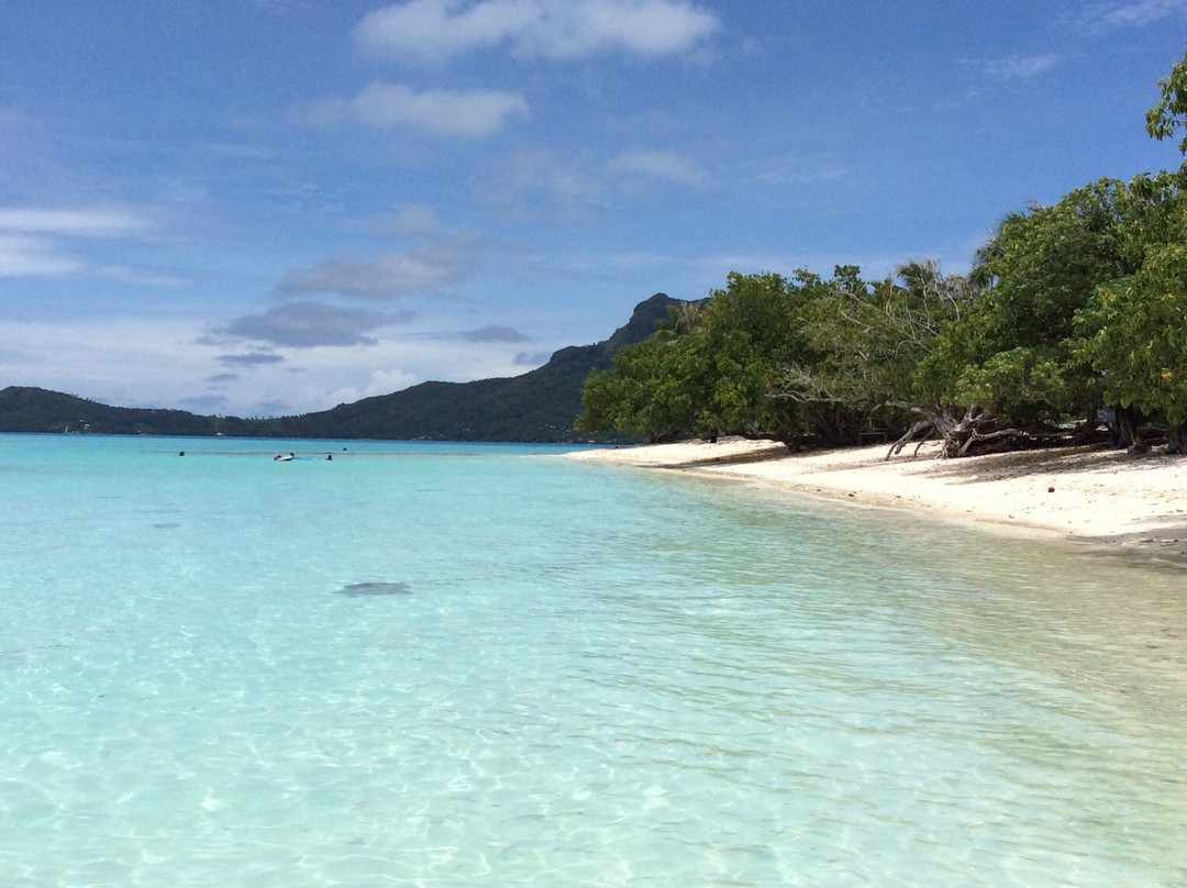 Pension Ludo et Moyra主图