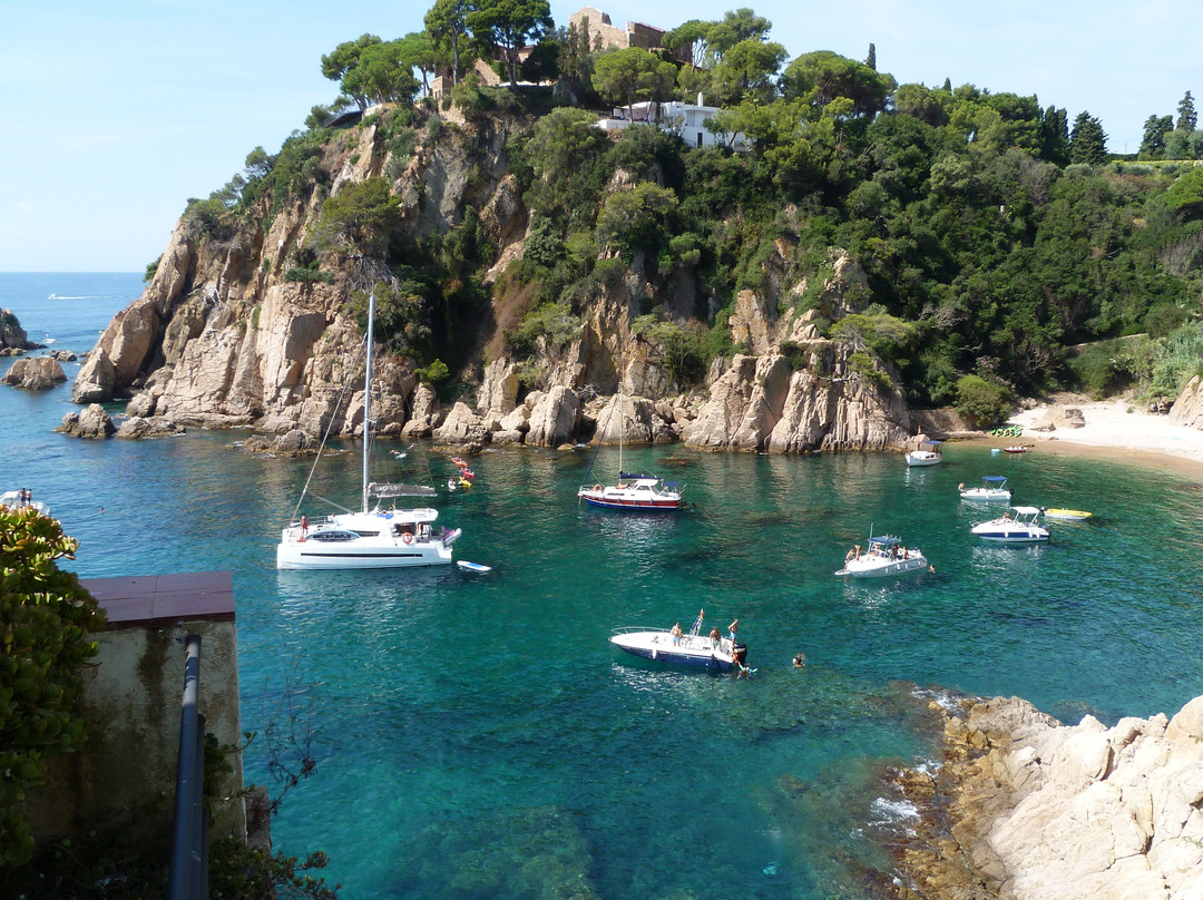 Jardí Botànic Marimurtra-布拉内斯必去景点