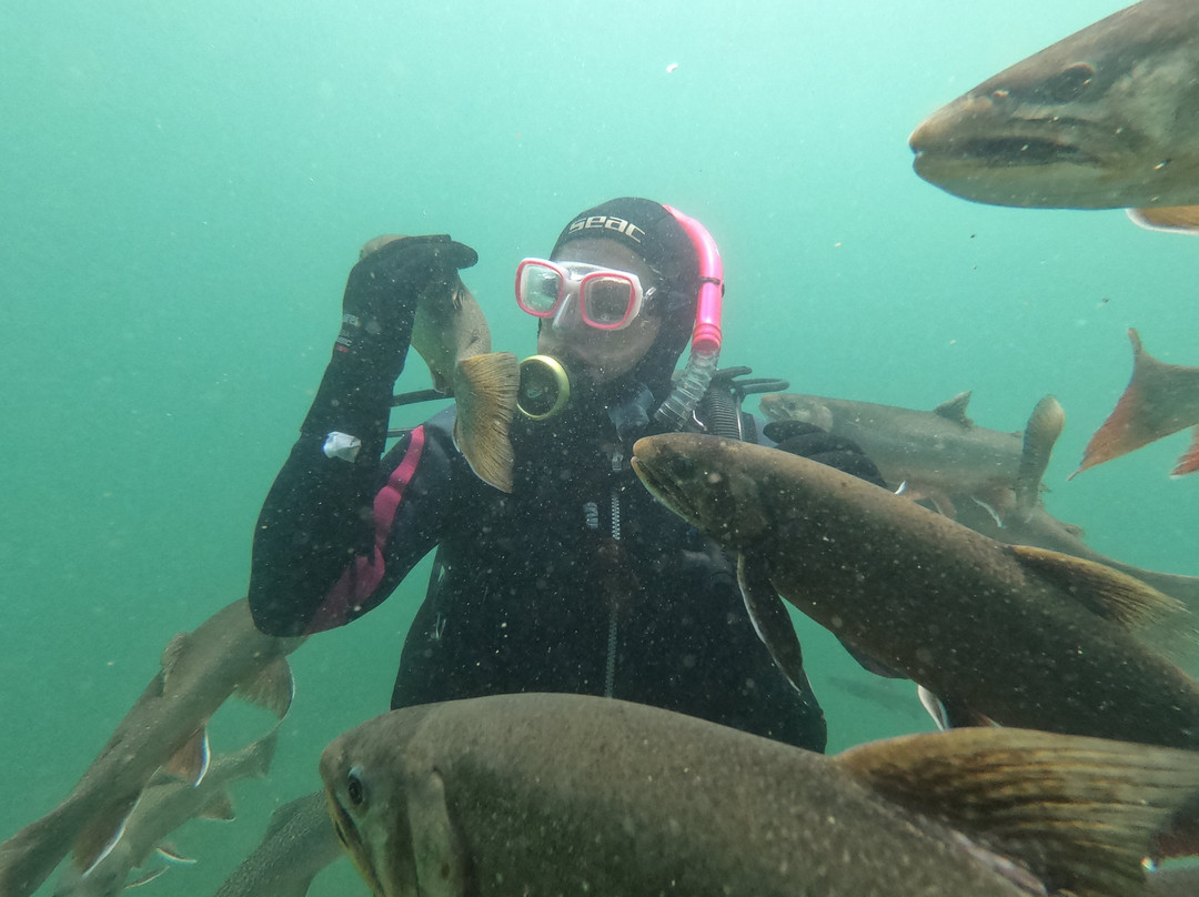 Grüblsee Alpenaquarium-Vordernberg必去景点