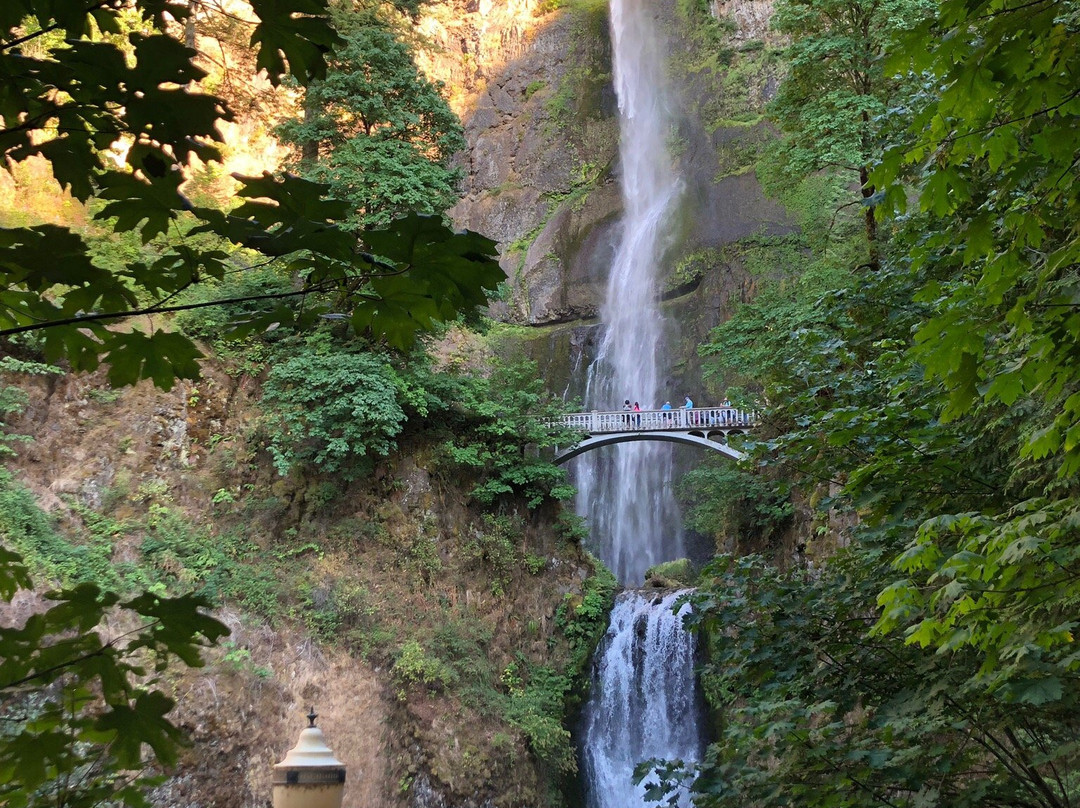Historic Columbia River Highway State Trail景点图片