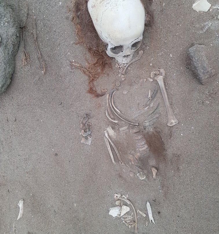 Museo Momias Chinchorro-阿里卡必去景点