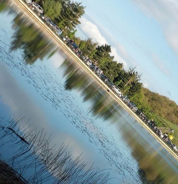 Area Naturale Lago Pescara景点图片