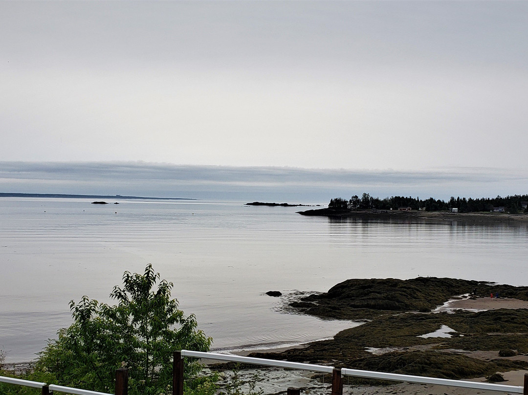 Clipper Shipp Beach Motel主图