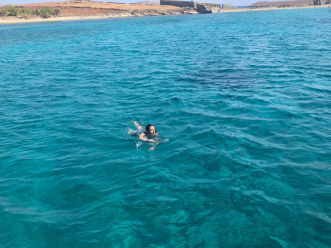 Dolphin Navigation Luxury Mykonos Cruises景点图片