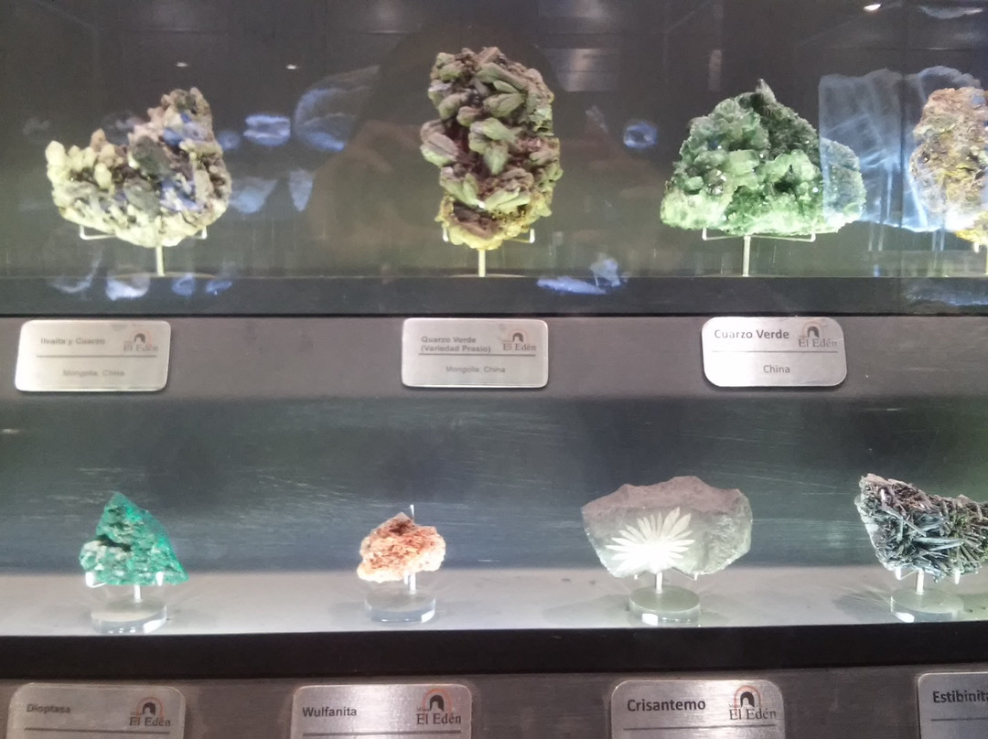 Museo De Minerales & Fosiles景点图片
