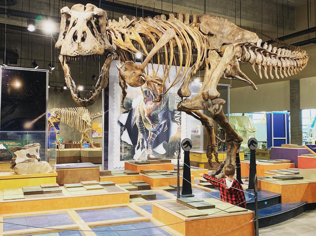 T. rex Discovery Centre-Eastend必去景点